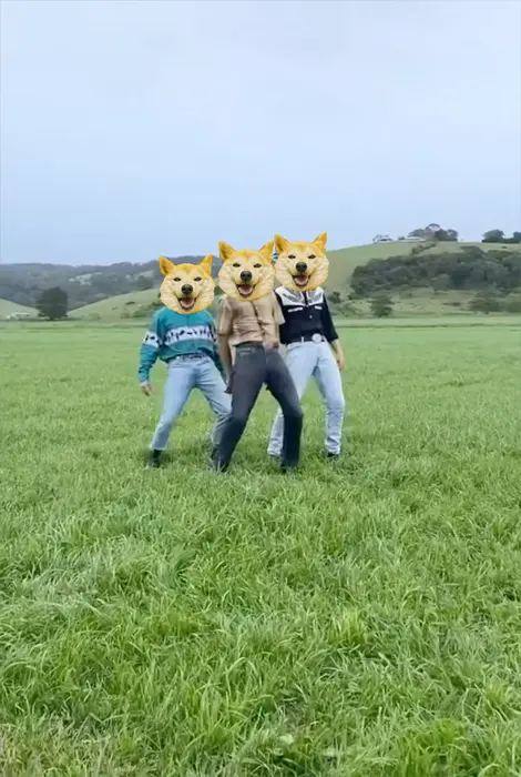 Piñata thumbnail image