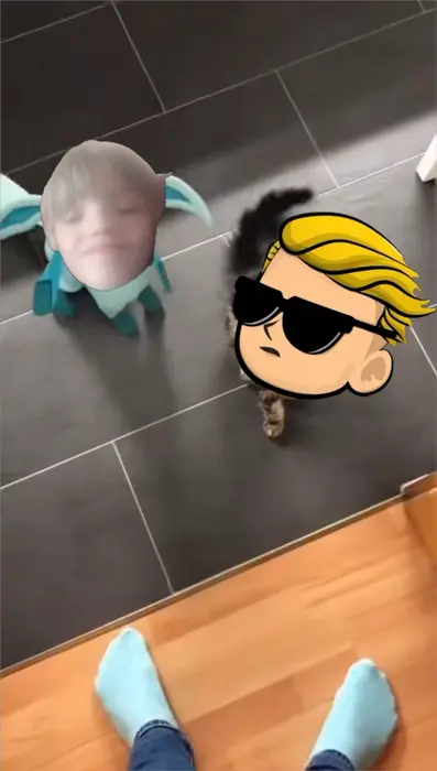 Glaceon freezes a cat meme | image tagged in memes | made with Piñata Farms meme generator