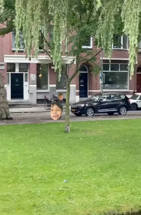 Piñata thumbnail image