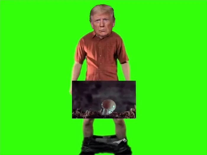 This is my pee pee meme | Not a grower or a show-er | image tagged in memes | made with Piñata Farms meme generator