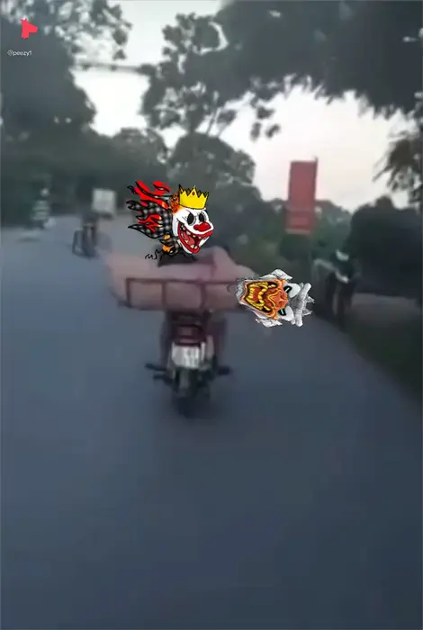 The pig is transported on a motorcycle meme | image tagged in memes | made with Piñata Farms meme generator