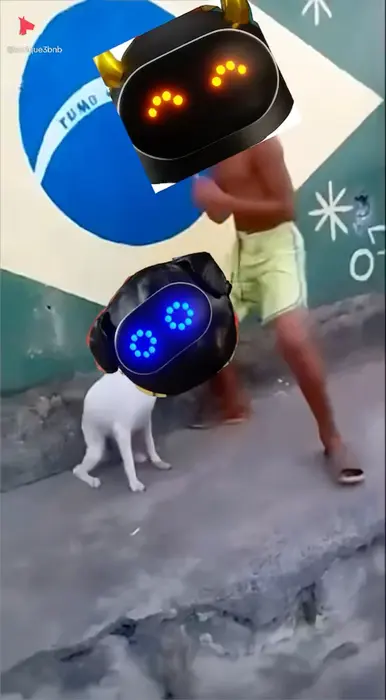 Piñata thumbnail image