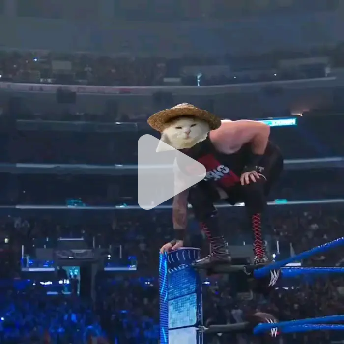 top rope $HATCAT video meme - Piñata Farms - The best meme generator ...