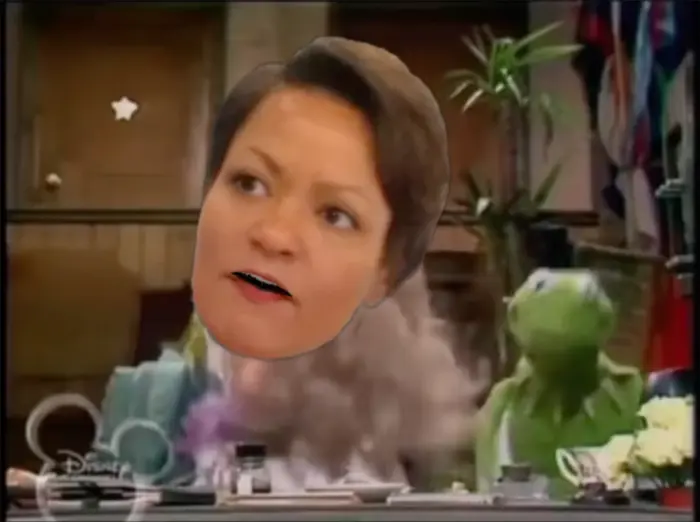You're fired - The Muppets Show meme | image tagged in memes | made with Piñata Farms meme generator