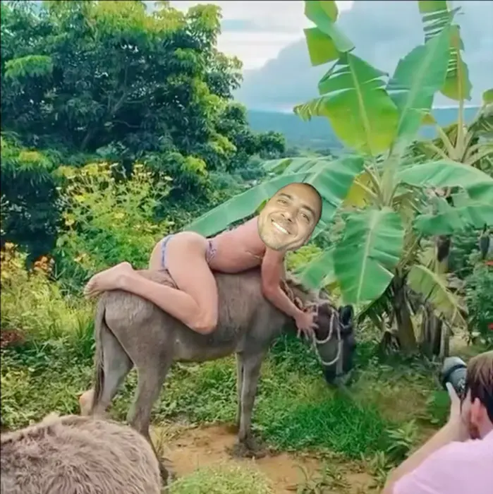 Piñata thumbnail image