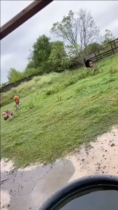 kangaroo shows its muscles meme | image tagged in memes | made with Piñata Farms meme generator