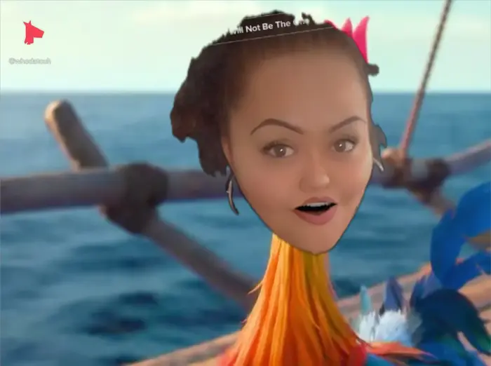 Chiken panic meme | image tagged in memes | made with Piñata Farms meme generator