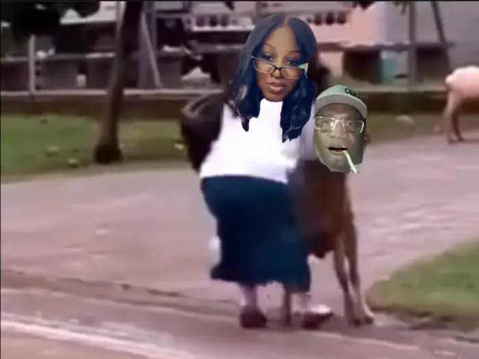 Fight with a ram meme | image tagged in memes | made with Piñata Farms meme generator