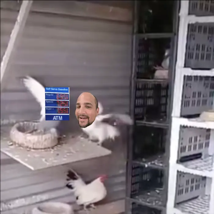 Piñata thumbnail image