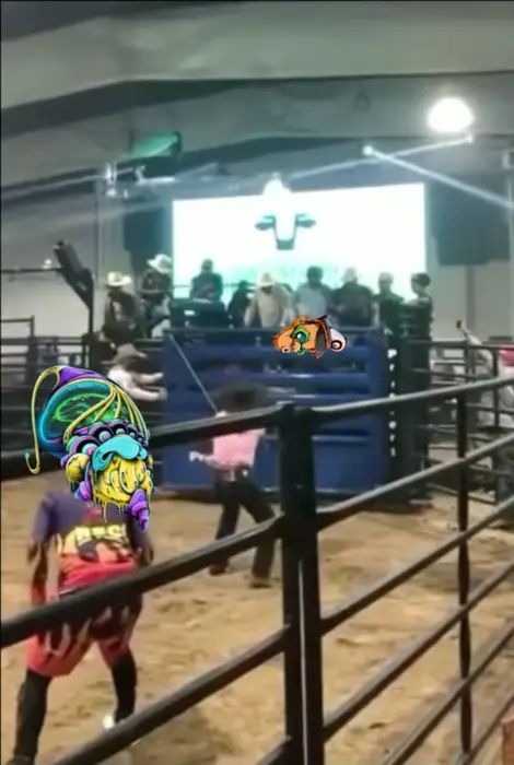 Bull makes a guy fly meme | KozmonautRodeo. | image tagged in memes | made with Piñata Farms meme generator