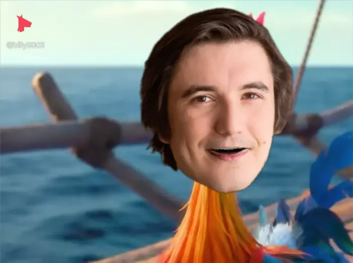 Chiken panic meme | image tagged in memes | made with Piñata Farms meme generator