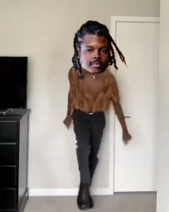 Dancing fabulously meme | image tagged in memes | made with Piñata Farms meme generator