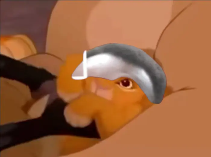 Lion King throw meme | image tagged in memes | made with Piñata Farms meme generator