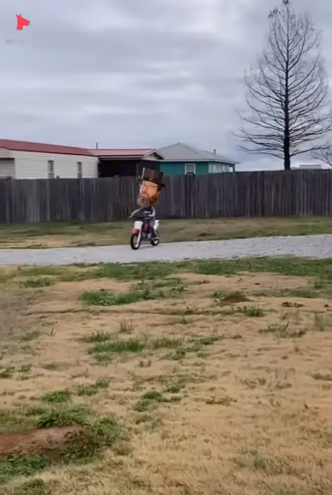 Piñata thumbnail image