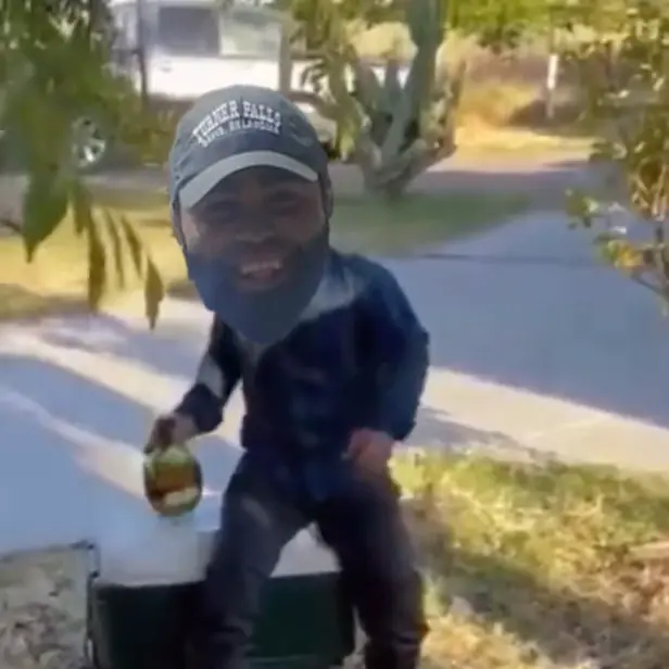 Piñata thumbnail image