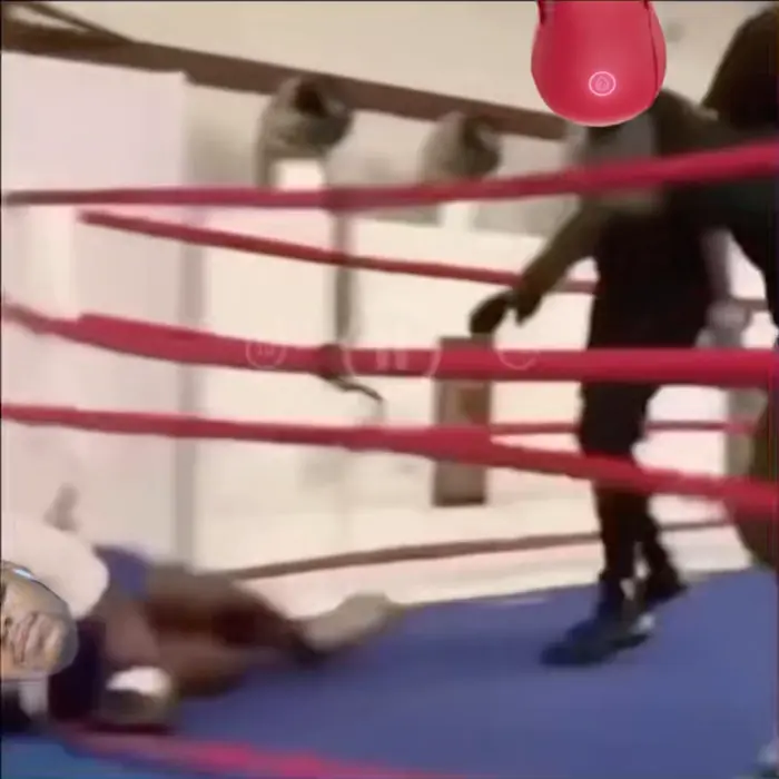 insane boxer punch meme | image tagged in memes | made with Piñata Farms meme generator