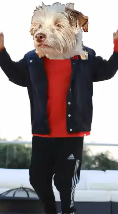 Piñata thumbnail image