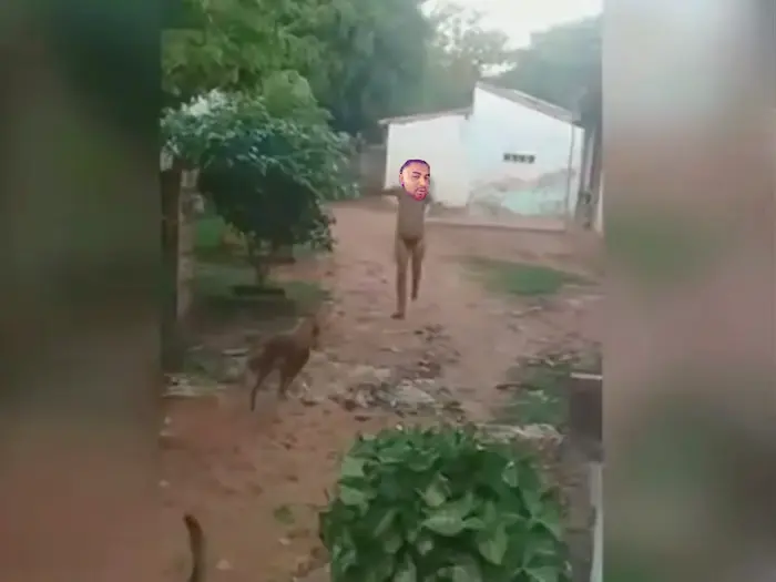 Piñata thumbnail image