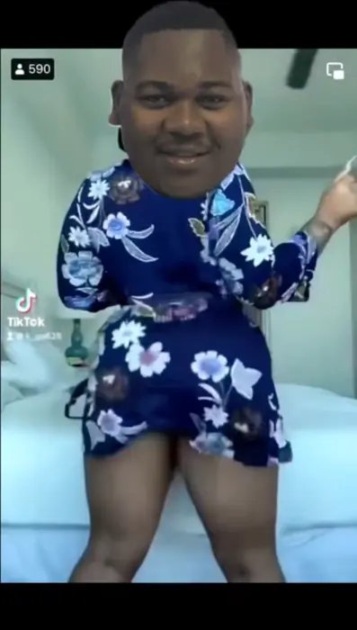 Piñata thumbnail image