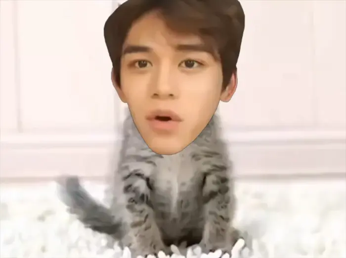 (SCREAMER WARNING) - Cute Cat meme | NCT Screamer #NCT #NCTDream #NCTWish #NCT127 #WayV #NCTU | image tagged in memes: nctu, nct, wayv, nctwish, nctdream, nct127 | made with Piñata Farms meme generator
