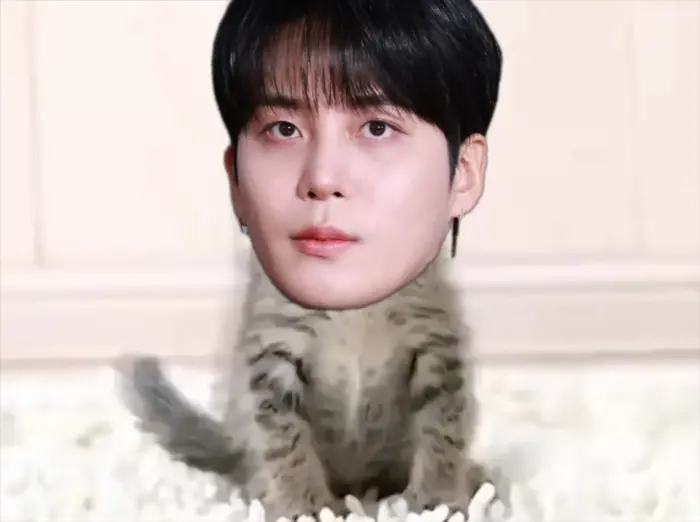 (SCREAMER WARNING) - Cute Cat meme | J o n g h o Screamer Prank | image tagged in memes | made with Piñata Farms meme generator