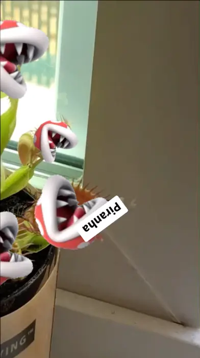 Venus Flytrap meme | Piranha plant next joker | image tagged in memes | made with Piñata Farms meme generator