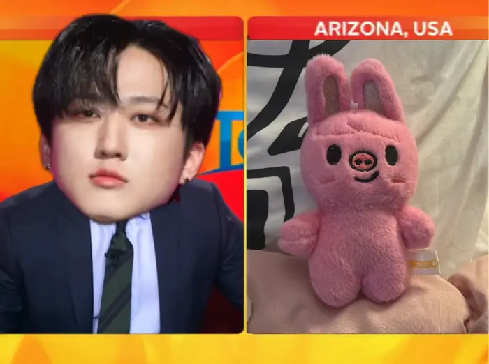 Reporter can't stop laughing at Grumpy Cat meme | C h a n g b i n Reacts to SKZ OO Plushie | image tagged in memes | made with Piñata Farms meme generator
