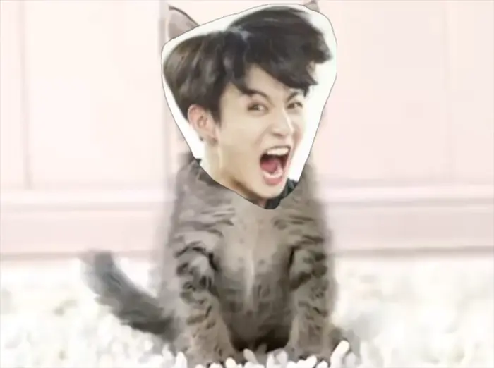 (SCREAMER WARNING) - Cute Cat meme | BTS Jump scare | image tagged in memes | made with Piñata Farms meme generator
