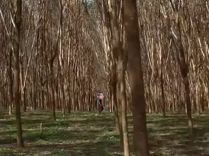 Johnny Cage vs Scorpion | Mortal Kombat meme | Get Over Here! | image tagged in memes | made with Piñata Farms meme generator