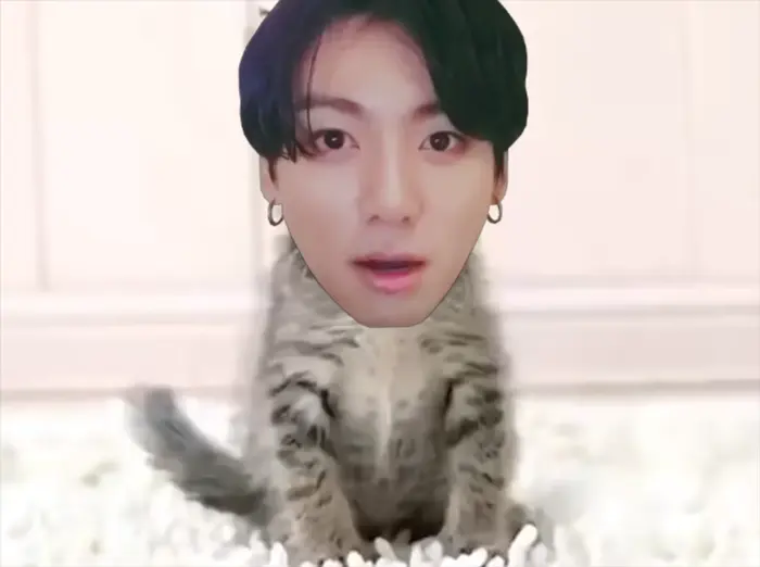(SCREAMER WARNING) - Cute Cat meme | Twice and IVE Screamers | image tagged in memes | made with Piñata Farms meme generator