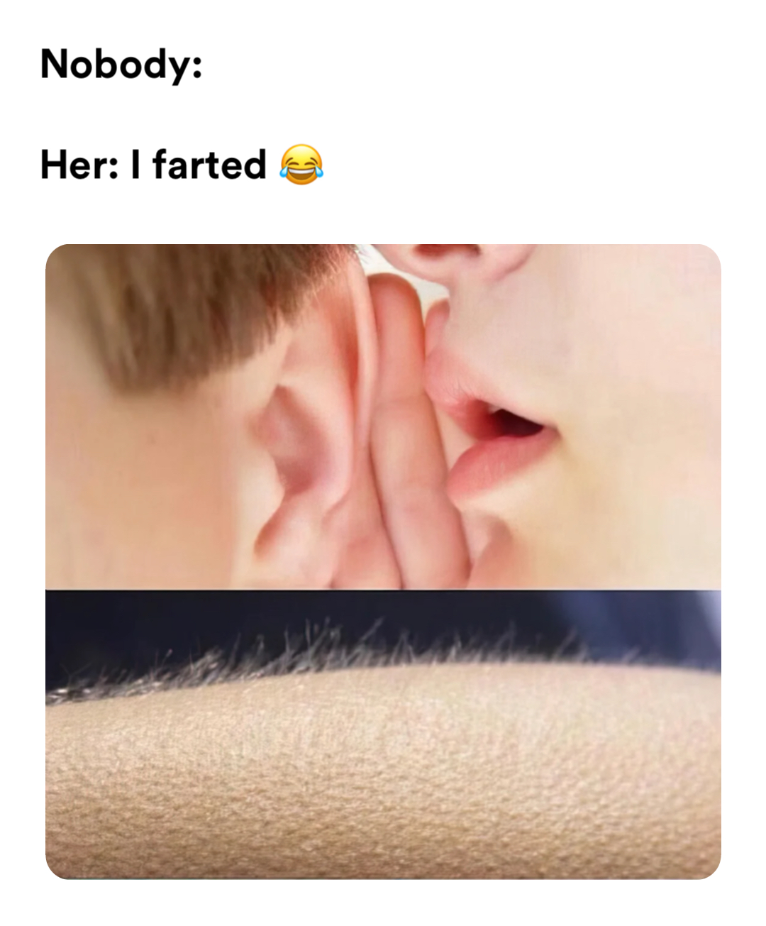 goosebumps meme | Nobody:

Her: I farted 😂 | image tagged in memes | made with Piñata Farms meme generator