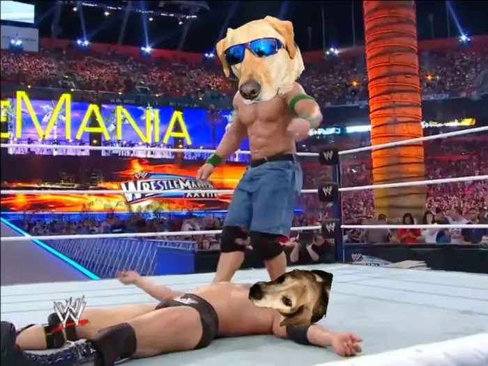 Piñata thumbnail image