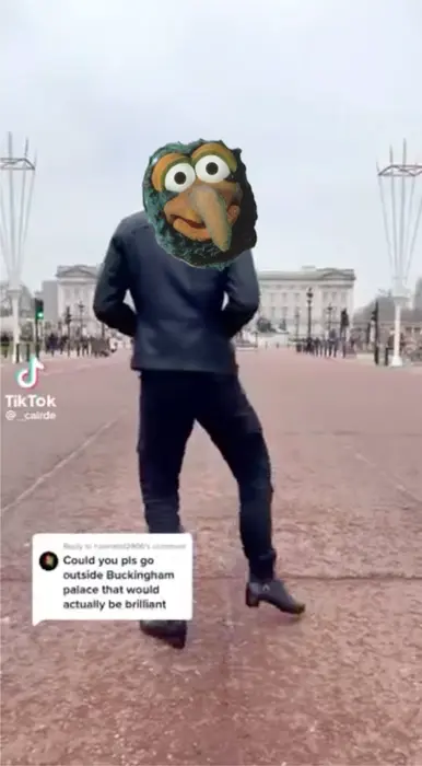 Piñata thumbnail image