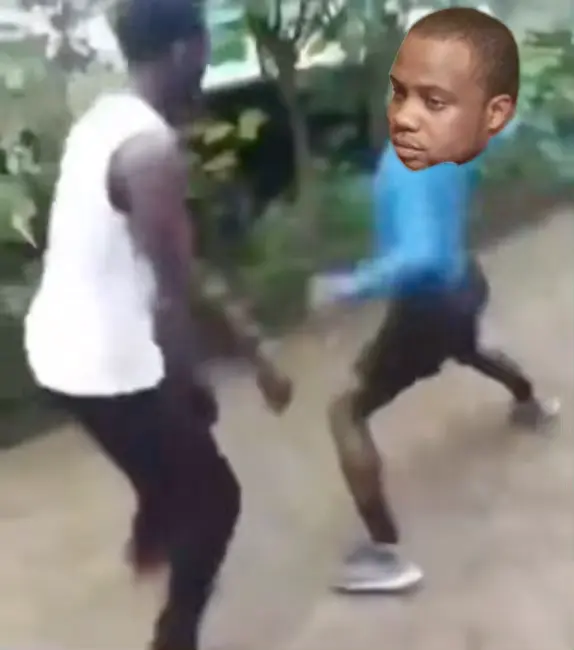 Acrobatic backyard fight meme | image tagged in memes | made with Piñata Farms meme generator
