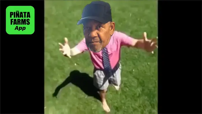 Piñata thumbnail image