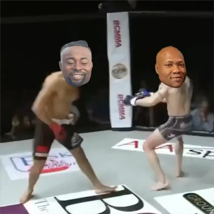 Piñata thumbnail image