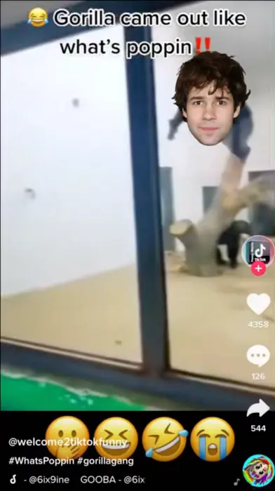 Piñata thumbnail image