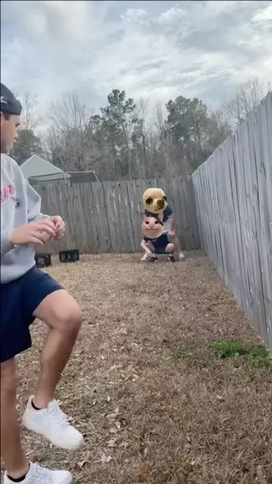 Piñata thumbnail image