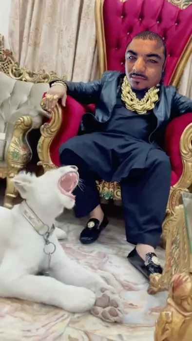 Piñata thumbnail image