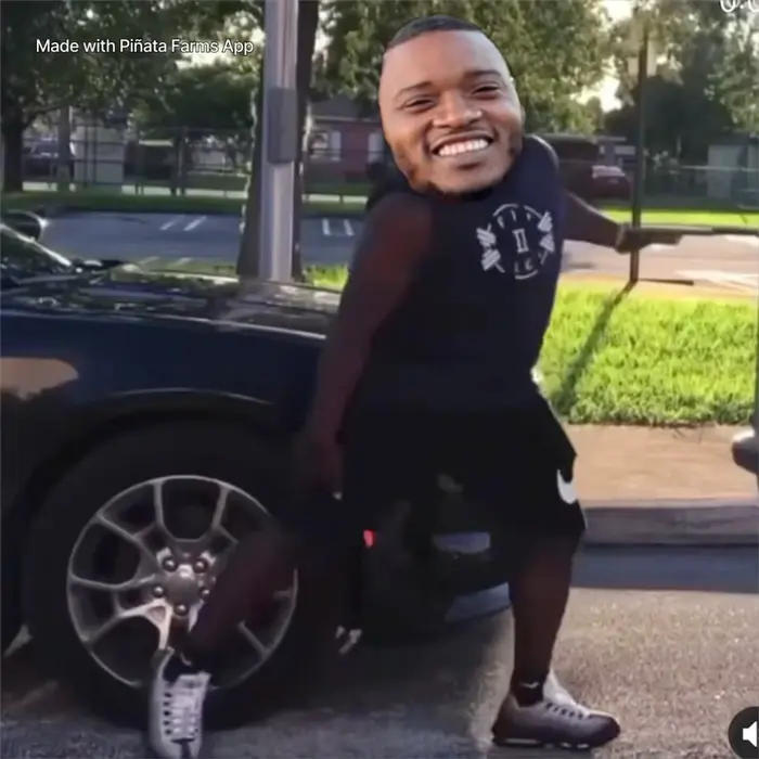 Piñata thumbnail image