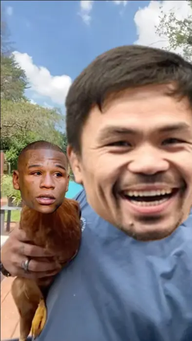 Piñata thumbnail image