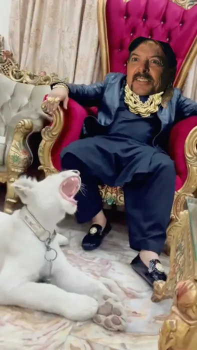 Piñata thumbnail image