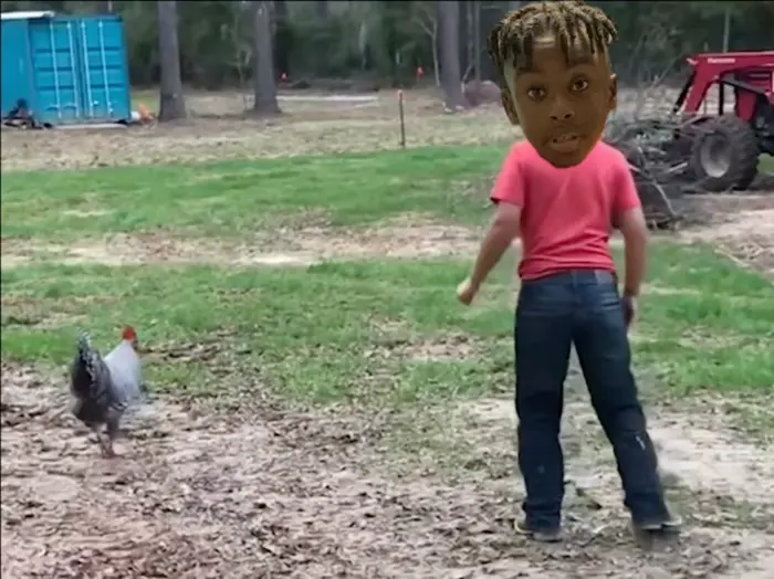 Piñata thumbnail image