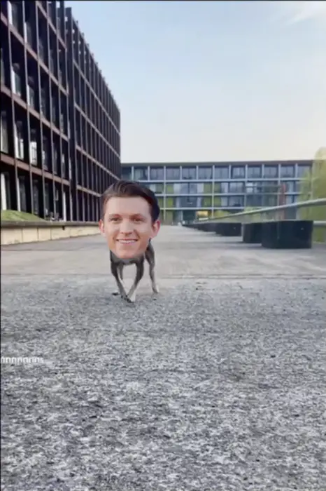 Piñata thumbnail image