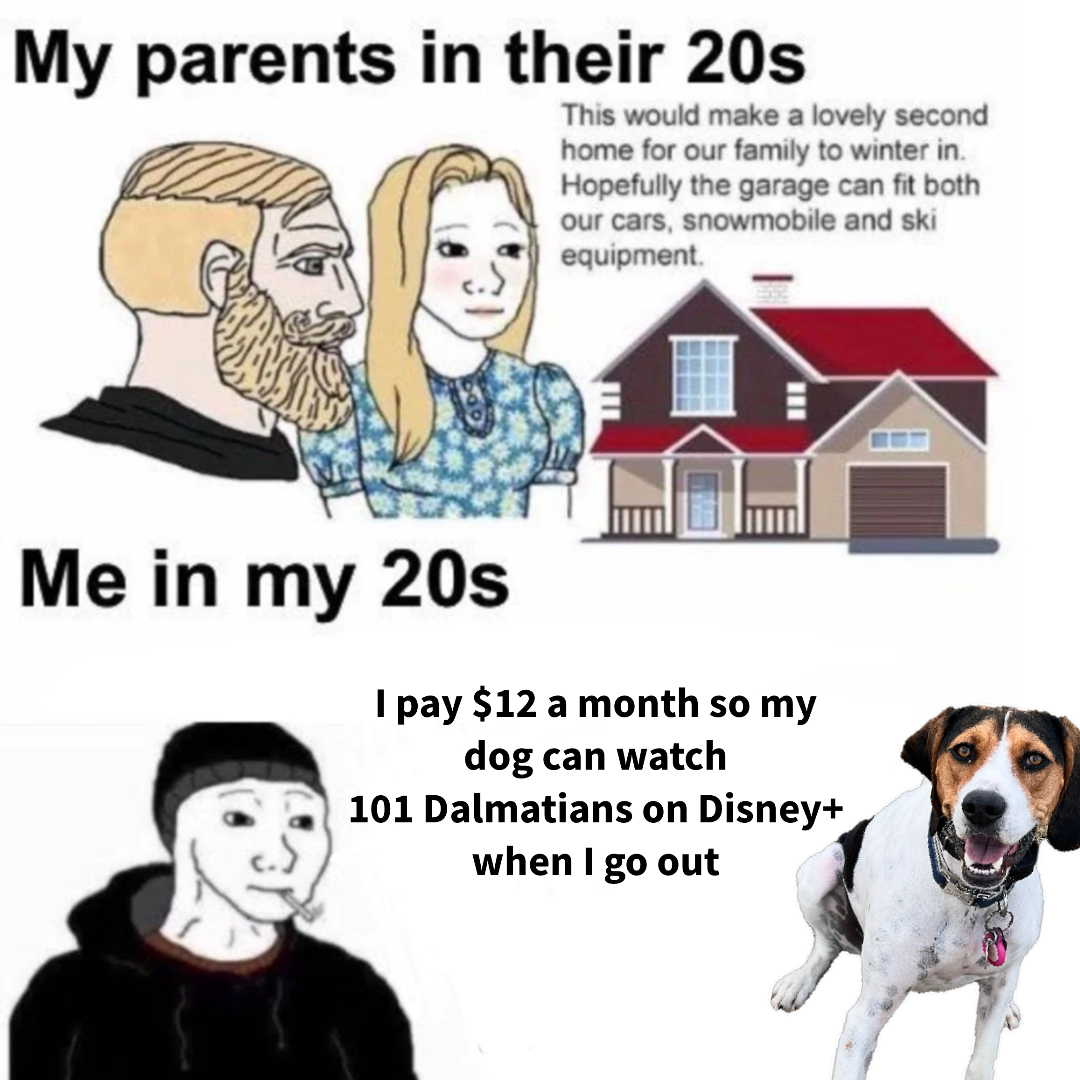 My parents Vs Me meme | image tagged in memes: comparison, dogowner, financialliteracy, funny, humorselfdeprecating, investment, longevityephemeral, meinmytwenties, myparentsintheirtwenties | made with Piñata Farms meme generator