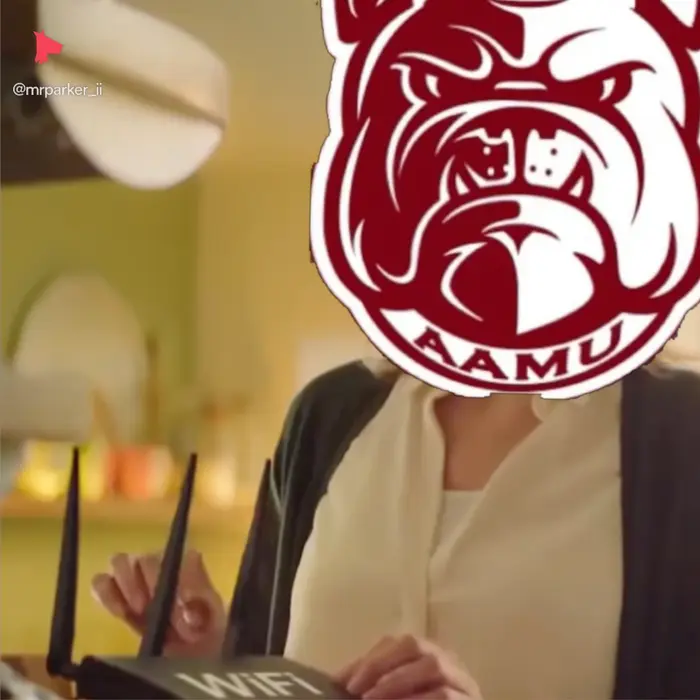 kid freaks out because mom turns off the wi-fi meme | #SWAC Championship Game Reservation Cancelled! #aamufbr | image tagged in memes: aamufbr, swac | made with Piñata Farms meme generator