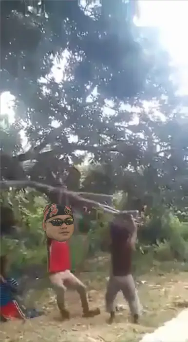 Piñata thumbnail image