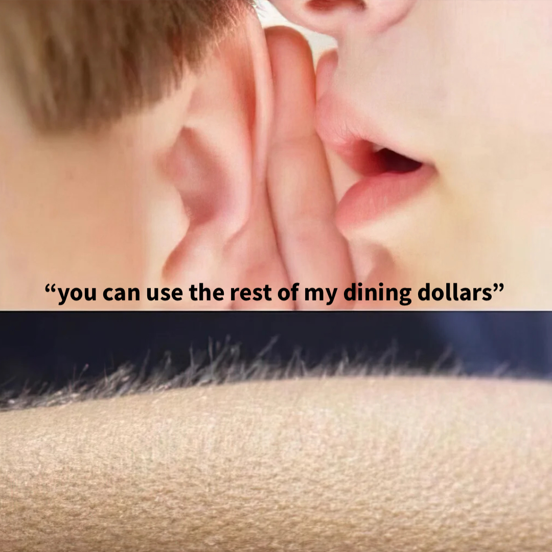 goosebumps meme | halal shack date? | image tagged in memes | made with Piñata Farms meme generator