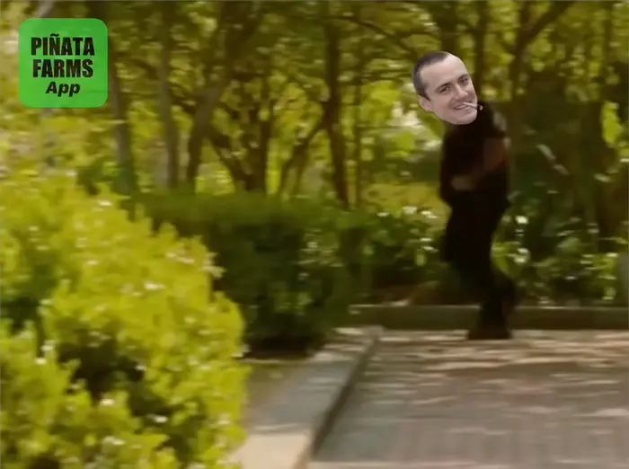 Piñata thumbnail image