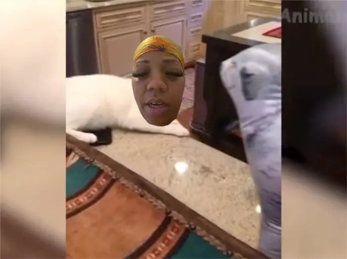 kitty power meme | Me tryna get a kiss after cumn home at sunrise😂😂 | image tagged in memes | made with Piñata Farms meme generator